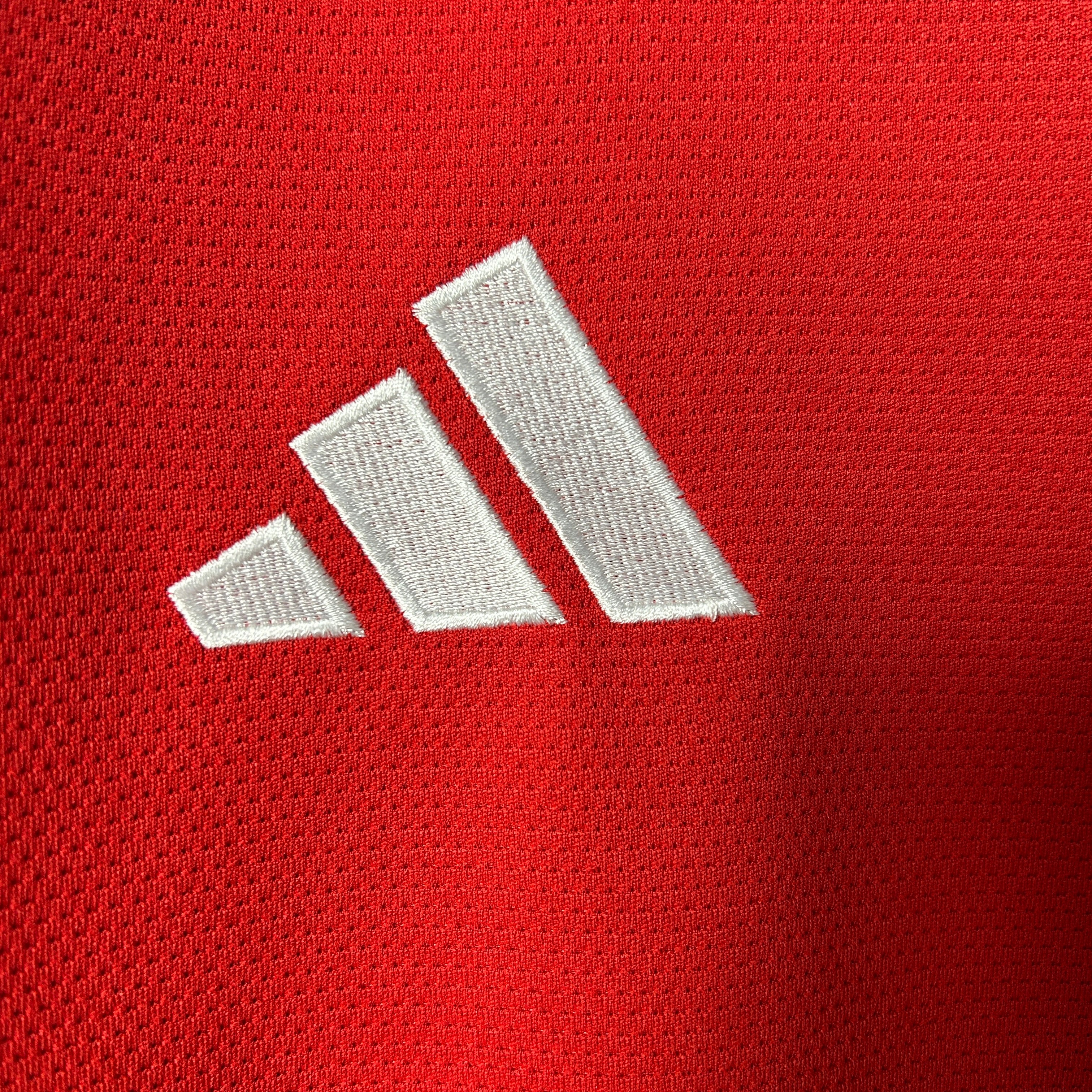 Camisa Internacional Manga Longa 25/26 Home