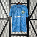 Camisa Palmeiras 25/26 Goalkeeper