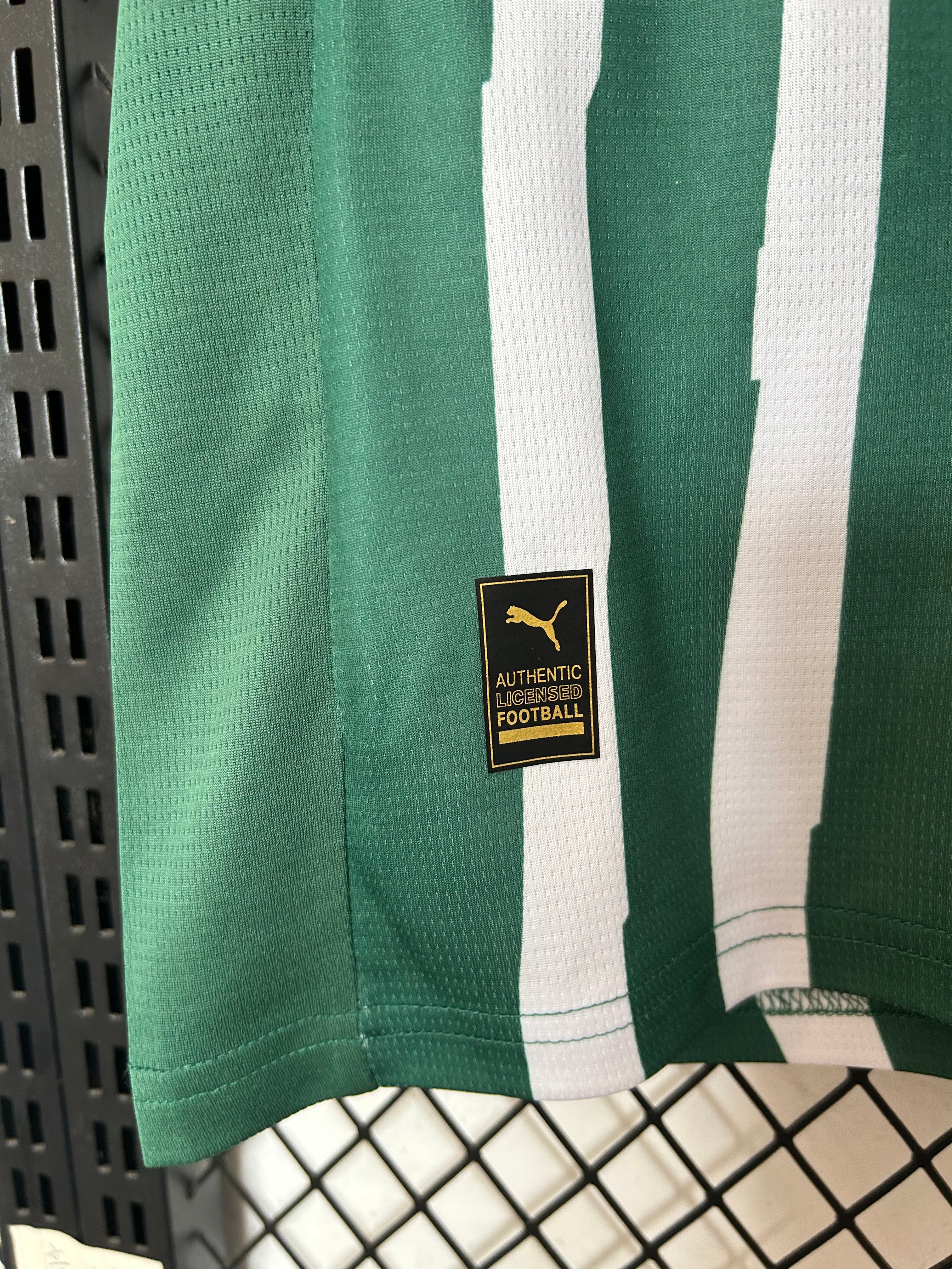 Camisa Palmeiras 25/26 Special Edition - Verde