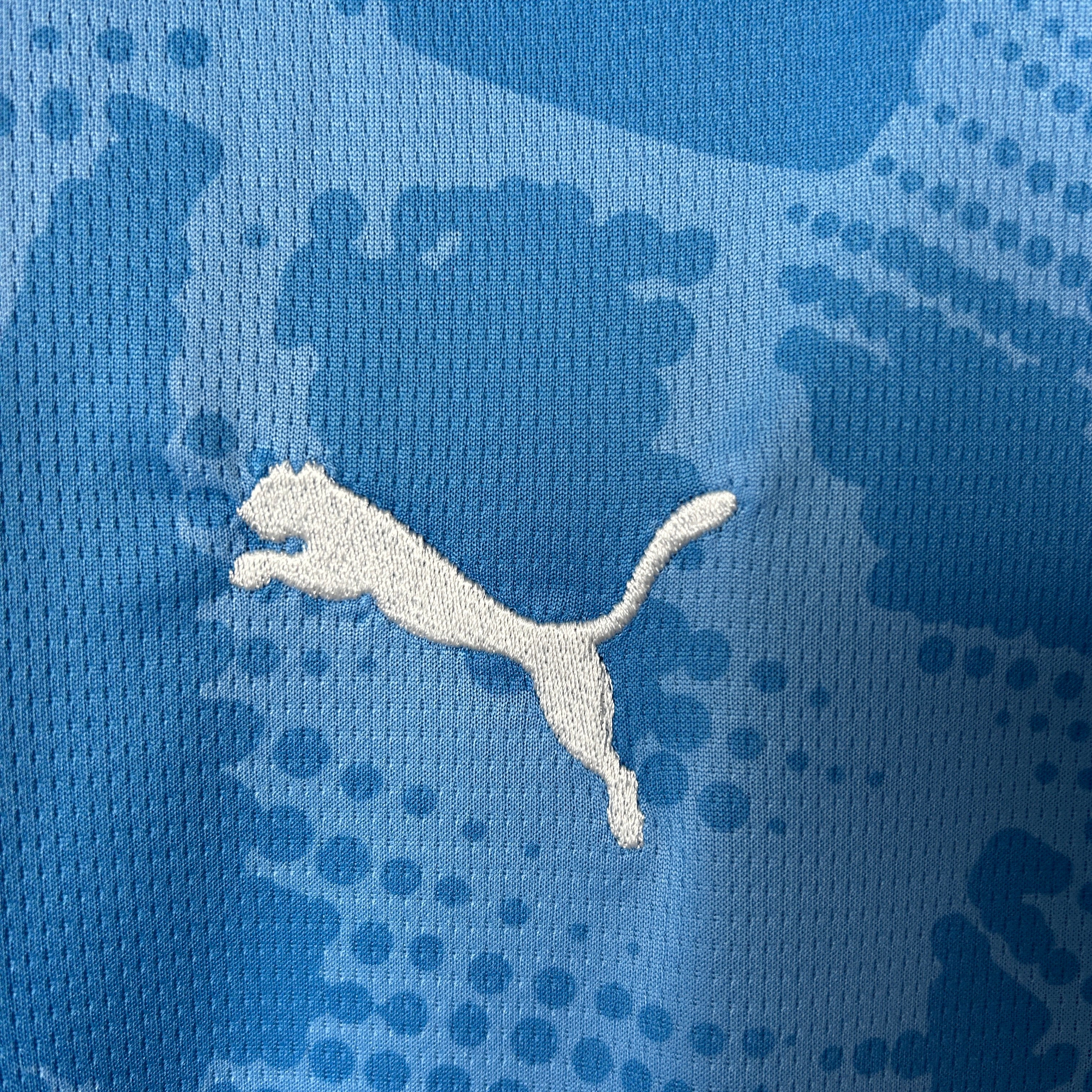 Camisa Palmeiras 25/26 Goalkeeper