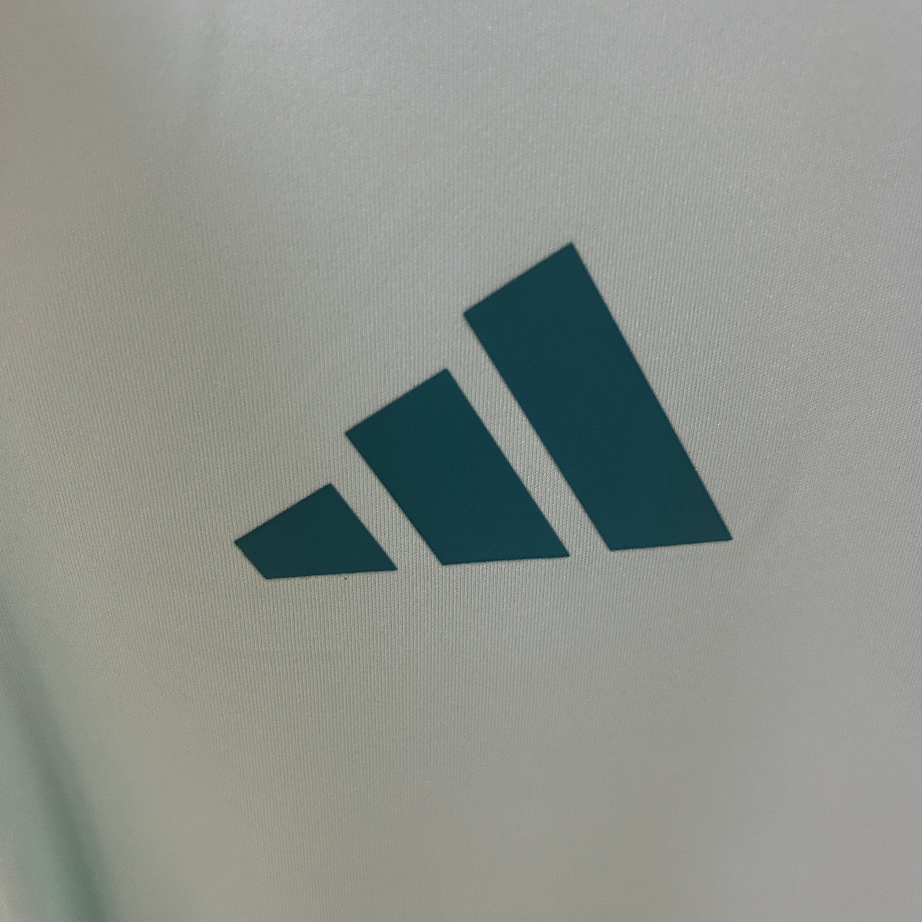 Camisa Cruzeiro 25/26 Treino - Regata