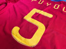 Camisa Puyol Espanha 2010 Legend