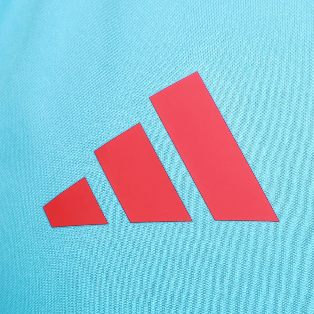 Camisa Flamengo Regata Treino 25/26 Azul e Vermelho