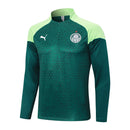 Conjunto Agasalho Treino Palmeiras 24/25 - Verde