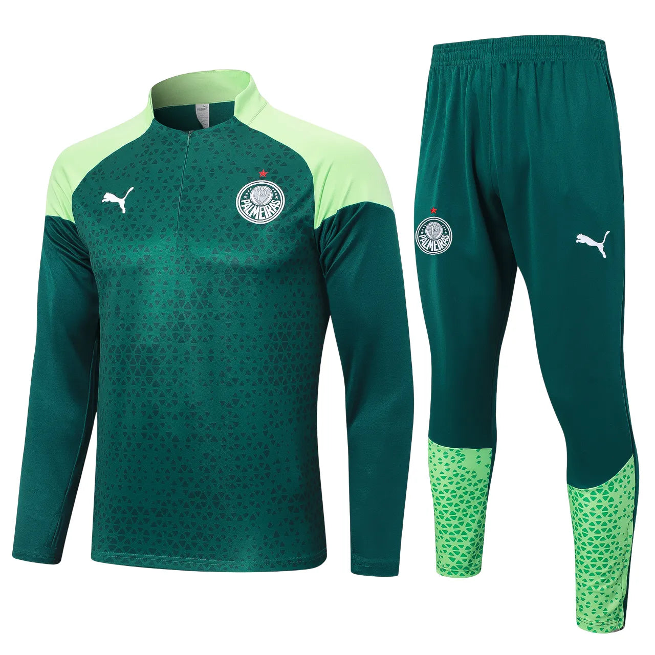 Conjunto Agasalho Treino Palmeiras 24/25 - Verde