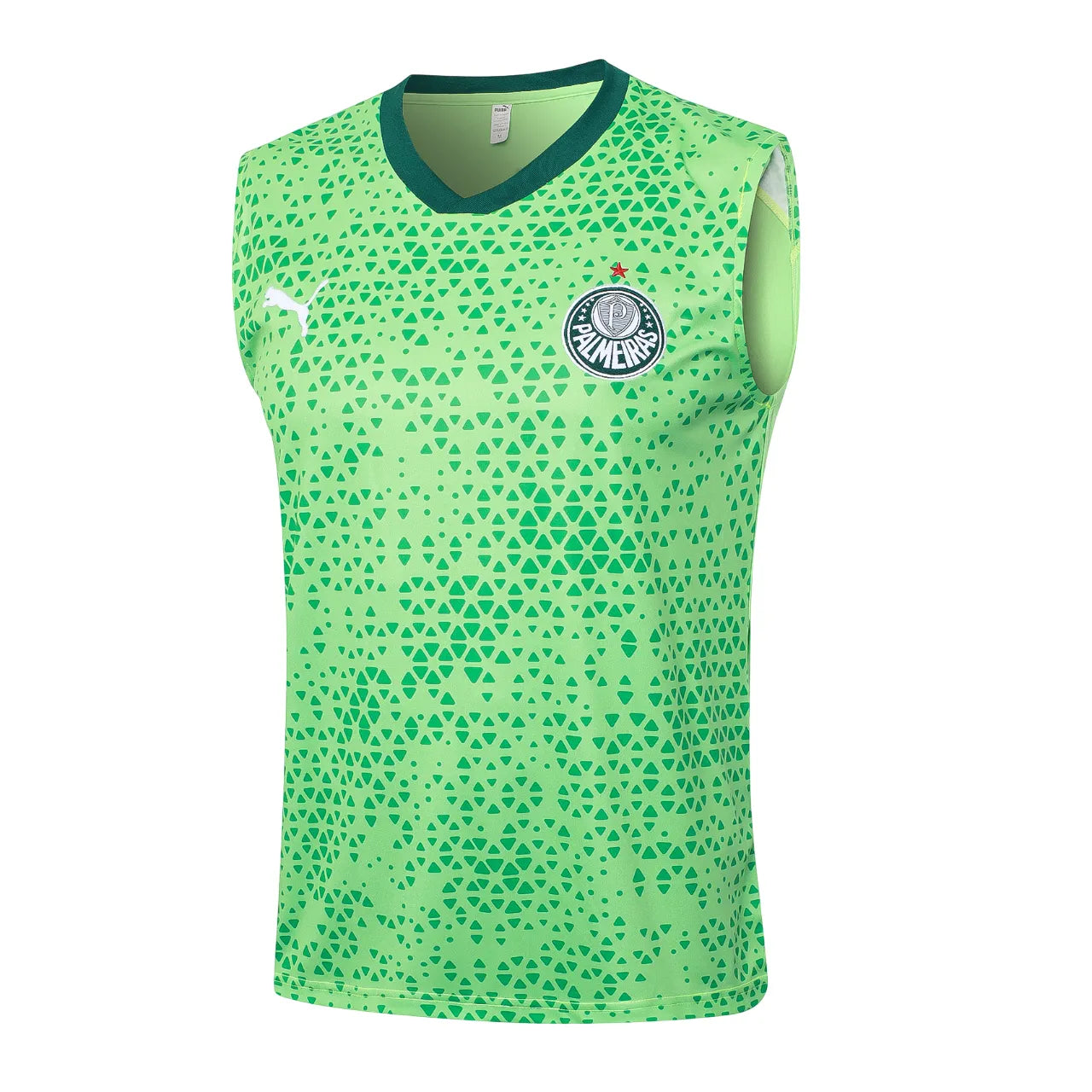Conjunto Palmeiras Treino Regata 24/25 - Verde