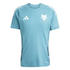Camisa Cruzeiro Feminina 25/26 Treino - Azul