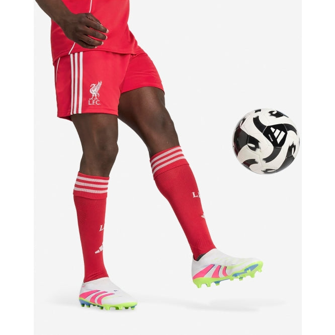 Shorts Liverpool 25/26 Home